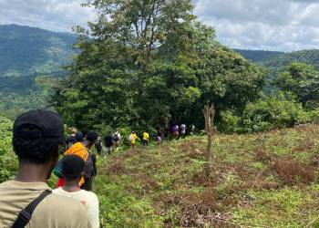 WhatsApp_Bild_2025-11-06_um_21.26.29_0ff1d5c1_original_copy_1