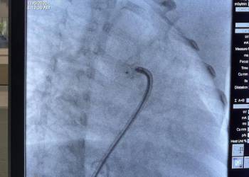 WhatsApp_Bild_2025-11-07_um_08.25.31_6011ae84_original_copy_1