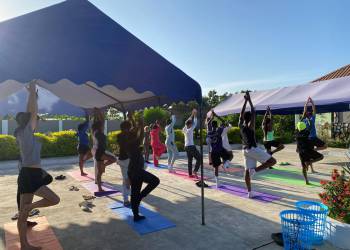 WhatsApp_Bild_2025-11-04_um_21.28.02_415c52a8_original_copy_1