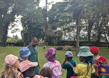 PXL_20251105_104140395_original_copy_1