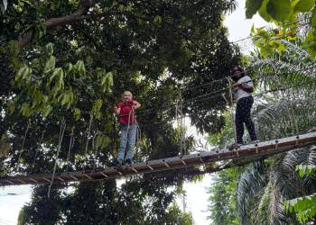 WhatsApp_Bild_2025-11-04_um_12.19.39_0cbb94c9_original_copy_1