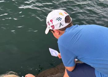 Unbenannt13_original_copy_1