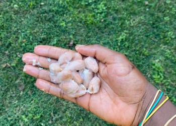 WhatsApp_Bild_2025-11-05_um_22.33.24_4dae8556_original_copy_1