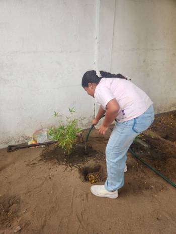 2025-12-15_Pflanzaktion_Klasse_3-4_1_original_copy_1_copy_1