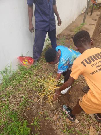 2025-12-15_Pflanzaktion_Klasse_3-4_7_original_copy_1