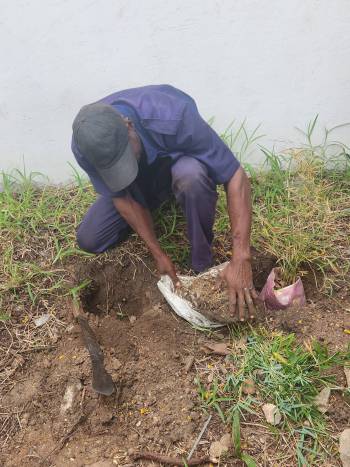 2025-12-15_Pflanzaktion_Klasse_3-4_8_original_copy_1