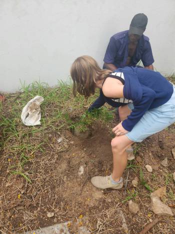 2025-12-15_Pflanzaktion_Klasse_3-4_9_original_copy_1