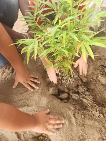 2025-12-15_Pflanzaktion_Klasse_3-4_10_original_copy_1