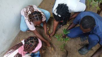 2025-12-15_Pflanzaktion_Klasse_5_5_original_copy_1