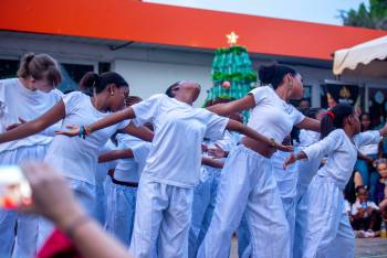_DSC3928_original_copy_1_copy_1