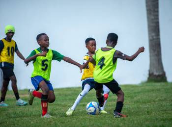 _DSC5984.JPG2_original_copy_1