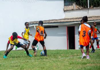 _DSC6115.JPG_original_copy_1