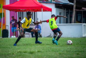 _DSC6151.JPG_original_copy_1