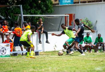 _DSC8328.jpg_original_copy_1