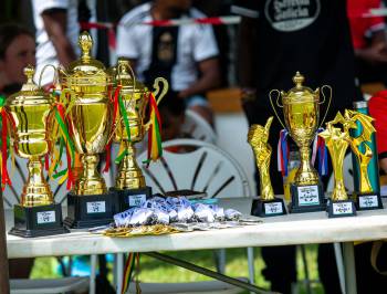 _DSC8533.jpg_original_copy_1