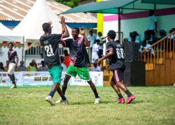 _DSC8582.jpg_original_copy_1