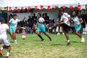 _DSC8729.jpg_original_copy_1