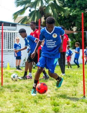 _DSC1315.jpg1_original_copy_1