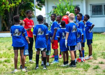 _DSC1481.jpg_original_copy_1