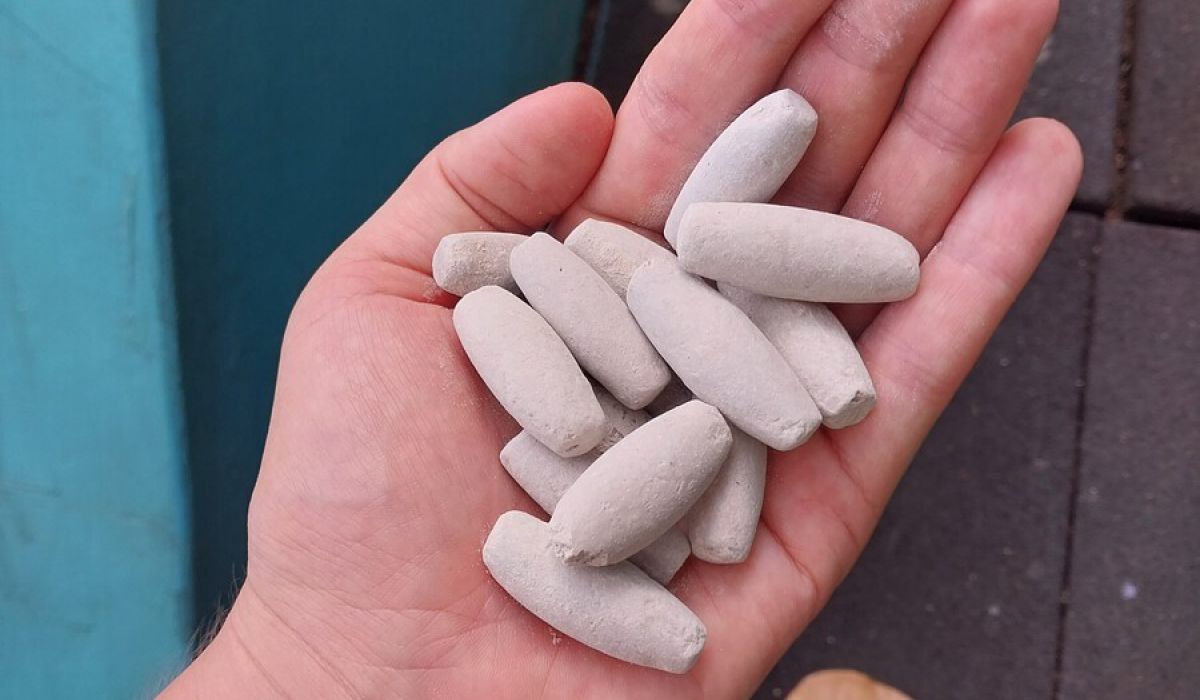 Mothers and fathers - what could be more important!