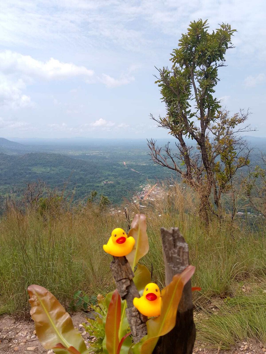 WhatsApp Bild 2025 11 06 um 23.49.18 852db1e5