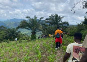 WhatsApp_Bild_2025-11-06_um_21.26.29_d55cef49_original