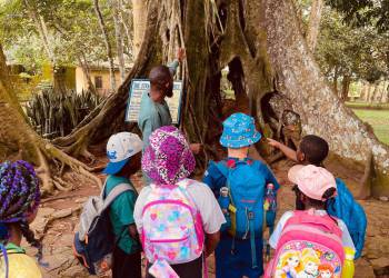 IMG-20251105-WA0055_original