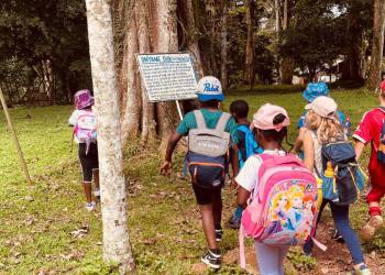 IMG-20251105-WA0088_original