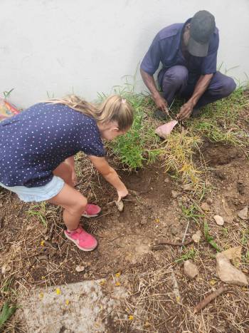 2025-12-15_Pflanzaktion_Klasse_3-4_6_original