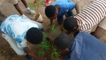 2025-12-15_Pflanzaktion_Klasse_5_4_original