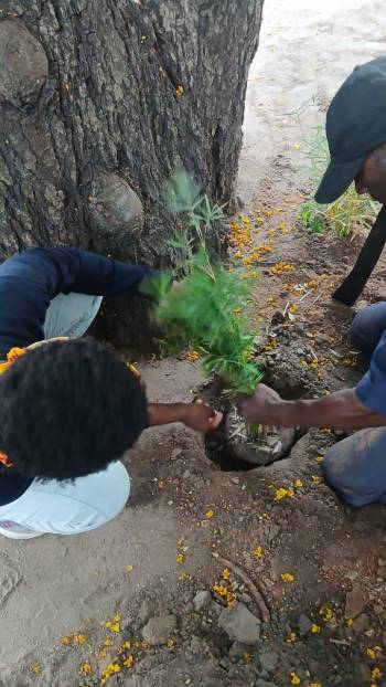 2025-12-15_Pflanzaktion_Klasse_7-8_3_original