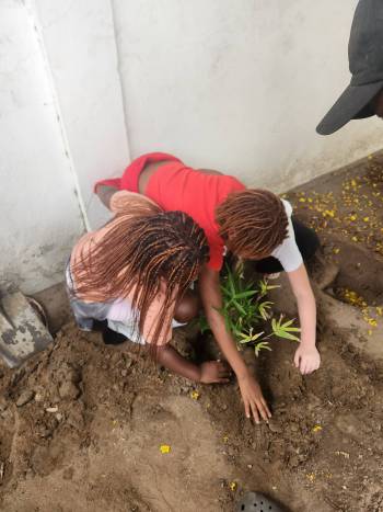 2025-12-15_Pflanzaktion_Klasse_3-4_13_original