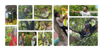 260315_selection_3_original