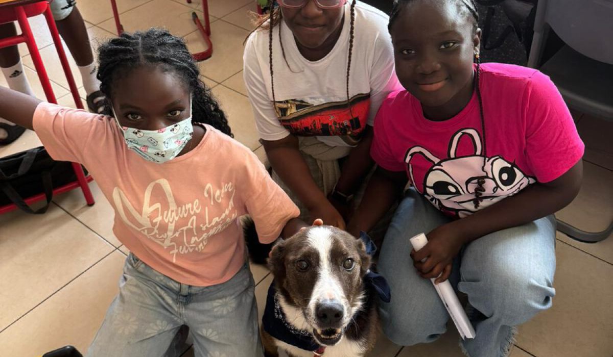 A New Companion in School Life: Rocky Joins Ethics Class