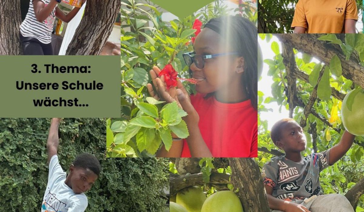 📸 Unsere Schule wächst – zeig uns deine Perspektive!