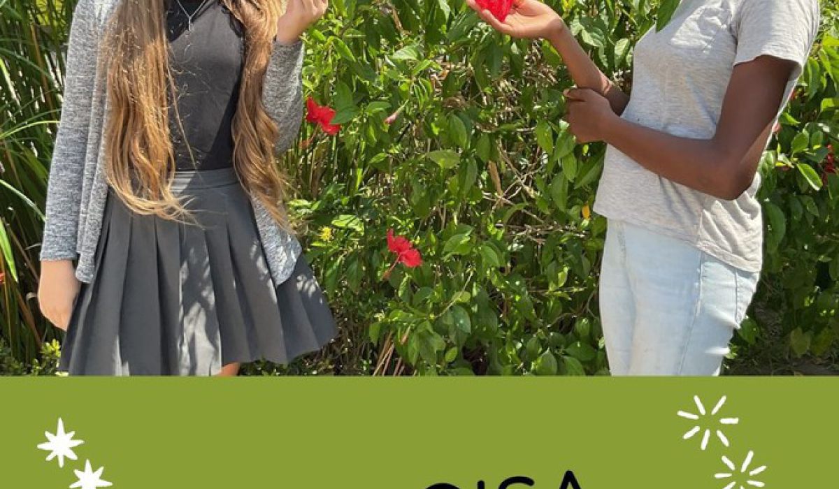 Licht, Kamera, Kreativität – die Sieger des Fotowettbewerbs stehen fest