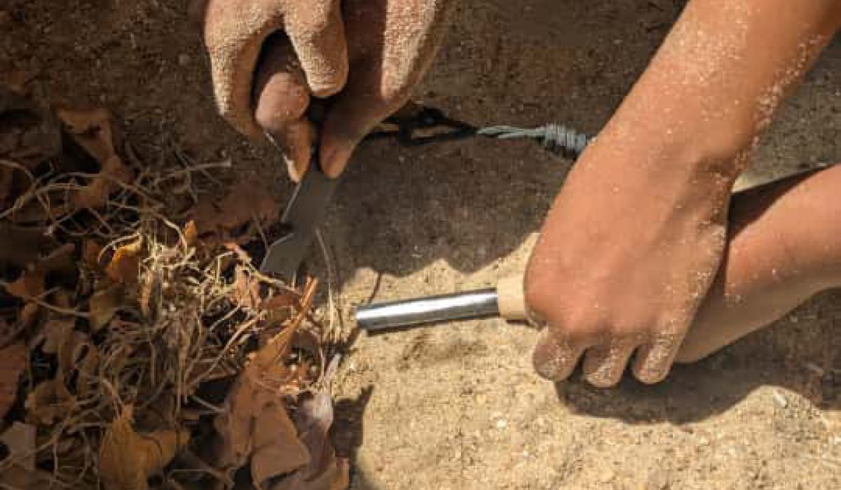 Making Fire Like in the Stone Age 🔥 – A Journey Through History and Nature